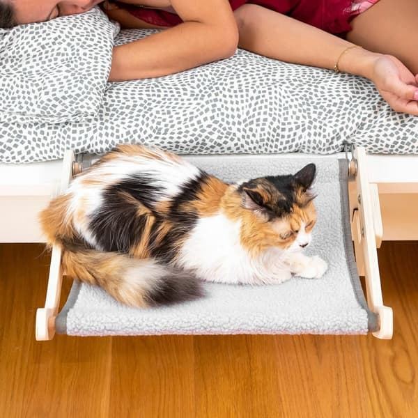 Cat Hammock