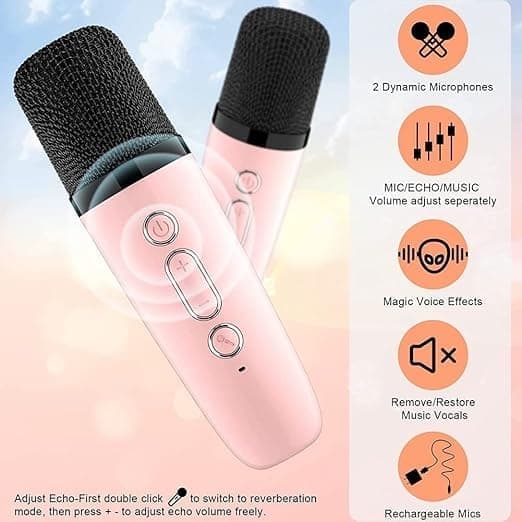 Bärbar Bluetooth Karaoke-högtalare med 1 trådlös mikrofon