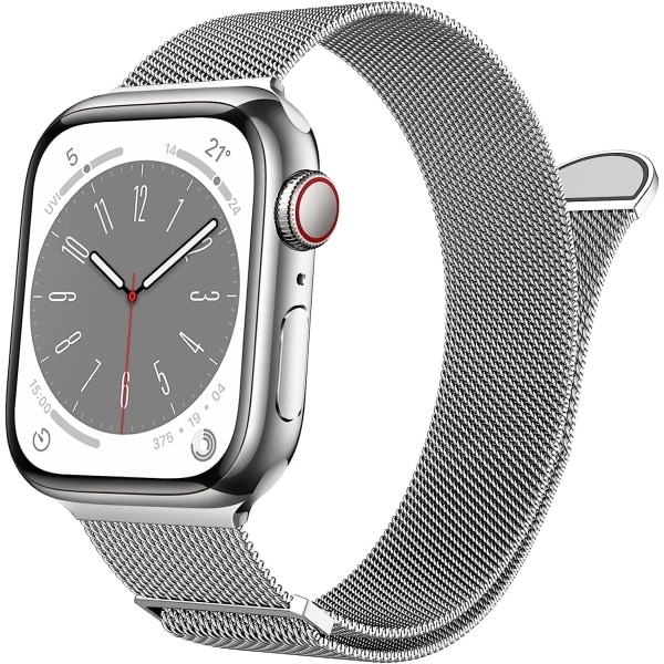 [QD] Kvinner og menn, rustfritt stål mesh loop magnetisk spenne erstatning for iWatch-bånd (45mm/44mm/42mm/49mm, regnbue).