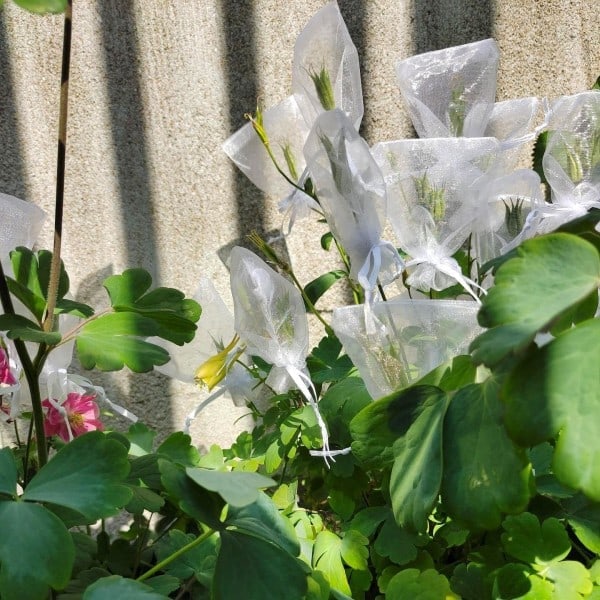 \"QD\" Små presentpåsar med dragsko Organza Grå 25-pack 7x9 cm