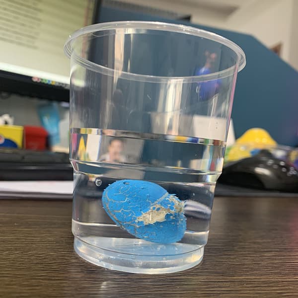 10 stk/sett Magiske klekkende voksende dinosaur egg legg til vann voksende egg Anim(f2)