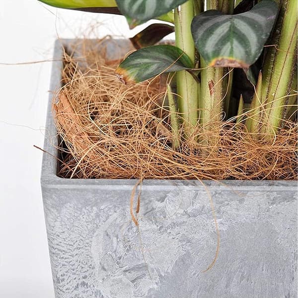 Redemateriale Naturlig Kokosfiber Fugleredemateriale Kokosnød{F2}