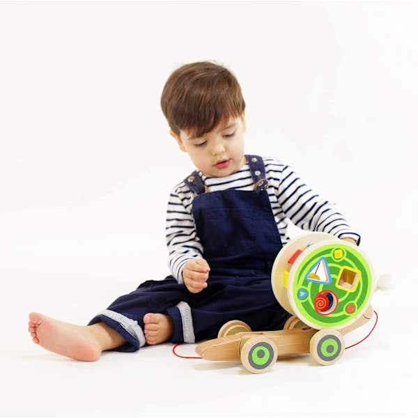 Prisbelönt Hape Walk-A-Long Snigel Trädrak-leksak för Småbarn, L: 11.9, B: 4.4, H: 7.3 tum
