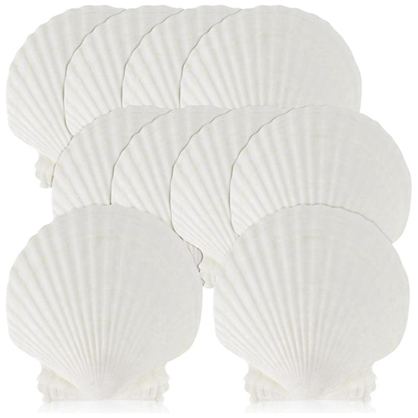 15 stk. Naturlige Havskaller Store Hvide, 10-12 cm Kammuslinger til DIY Håndværk, Madservering, Bagning