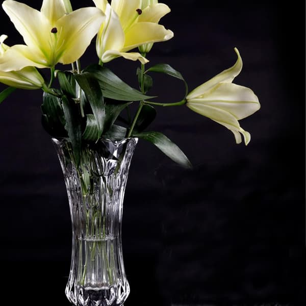 Sæt med 2 glasblomstervaser 24 cm store blomstervaser til midterstykker Moderne klar rosevase 25 x 13 cm