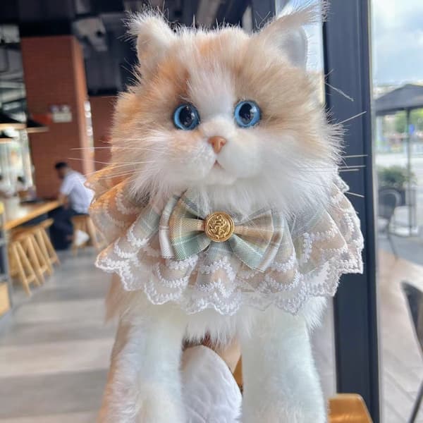 Realistisk kattplyschleksak – Ragdoll katt gosedjur presentförpackning med borstkort *Standardmodell* Standard model