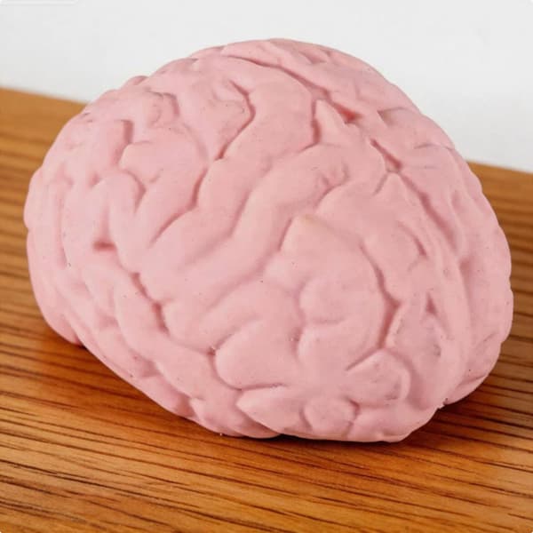 Kæmpe Banan/Hjerne Klemmelegetøj – Realistisk Blød Gel Sensorisk Stressaflastende Fidget Gave Brains