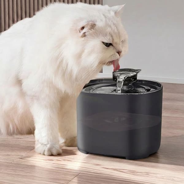 Kattvattenfontän Automatisk Husdjursdricksfontän USB-driven Filtercirkulation Tyst Dispenser för Katter Hundar