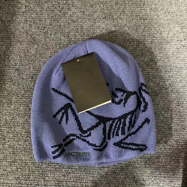 ARC'TERYX Mænds Cap Casual Varmt Vinter Skihue Blue