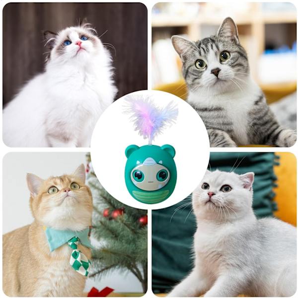 Kattleksak med fjädrar, Kattvippa, Interaktiv rolig kattungeboll med fjädrar, Kreativt husdjursmaterial Vippleksak för inomhus- och utomhuslek Green