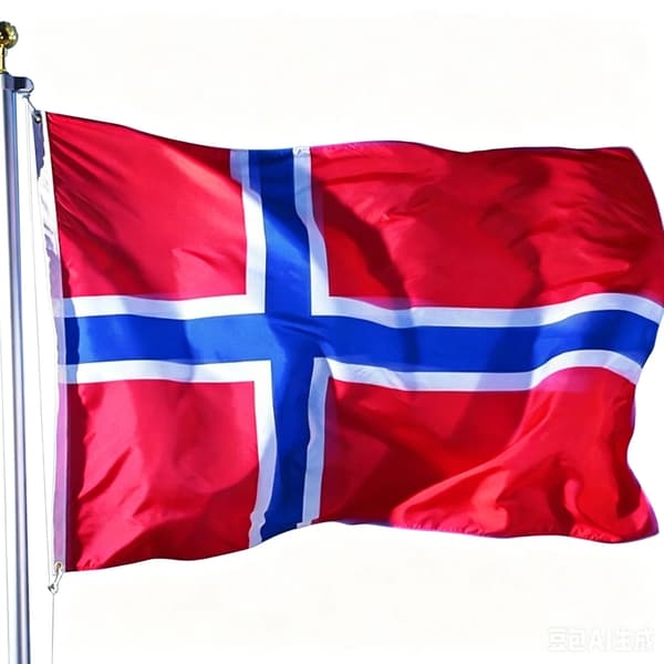 VM 2026 Norge Flagg – Supporterflagg (90 x 150 cm)