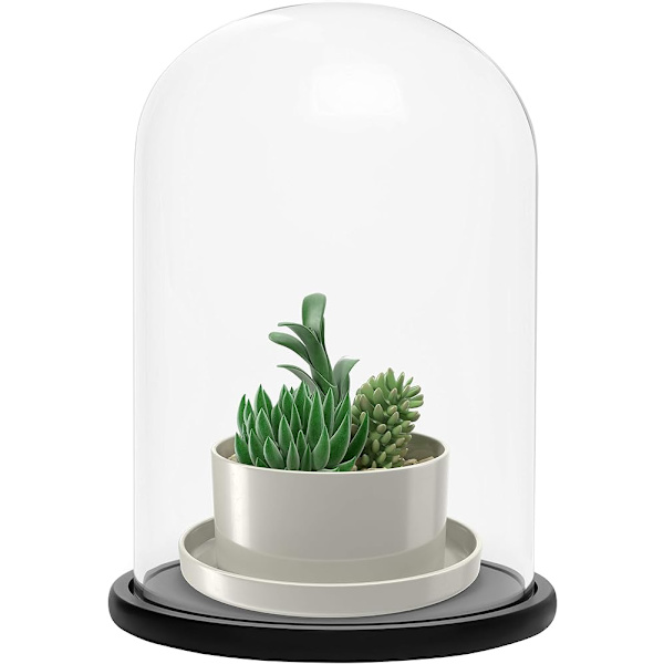 Sort træfod 20 cm - transparent dekorativ glasskærm{f2}