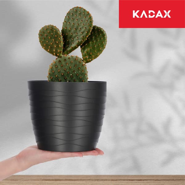 KADAX Urtepotte Plastikpotte til Blomster og Planter Sort Rund 17 cm