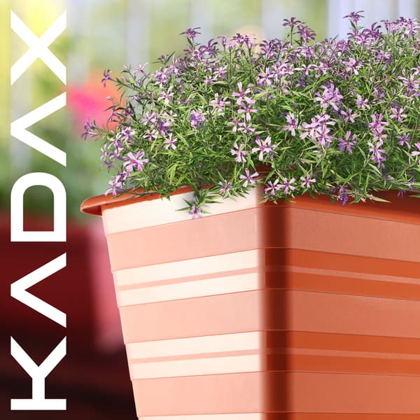 KADAX Balkonkasse 60 cm Urtepotte Urtepotte Balkon Terrakotta