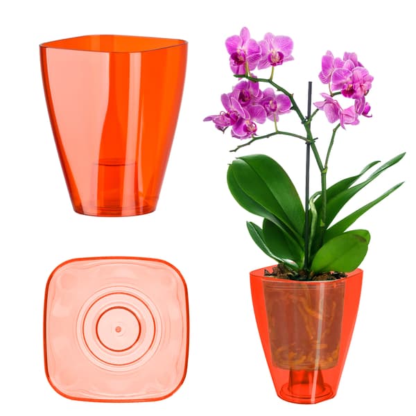 KADAX Urtepotte Orkidé Planter Plastik Urtepotte Rød Stærk 13cm