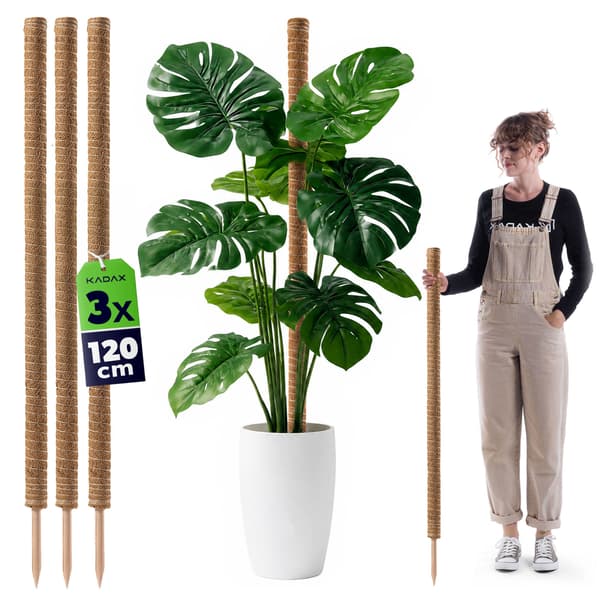 KADAX 3x Blomstöd 120cm Kokospåle 4,5cm Monsterapinne