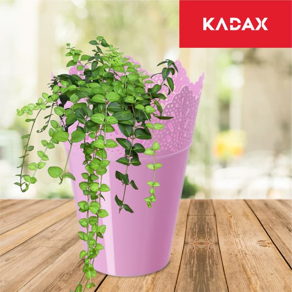 KADAX Urtepotte, Urtepotte, Låg, Høj, Plastik, 12 cm, Lyserød