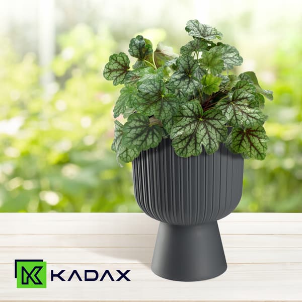 KADAX Urtepotte, Urtepotte, Græsplæne, Plastlåg, 14 cm, Blomsterfod, Grå