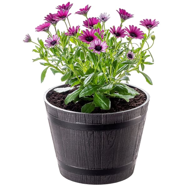 KADAX Urtepotte Havepotte til Terrasse Blomster Låg Urtepotte Rund 23 cm