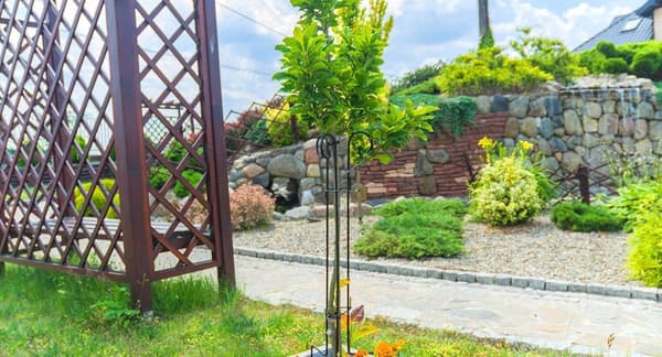 KADAX Stöd för Rosenblommor Växter Metall Blomklämma 90cm Stark