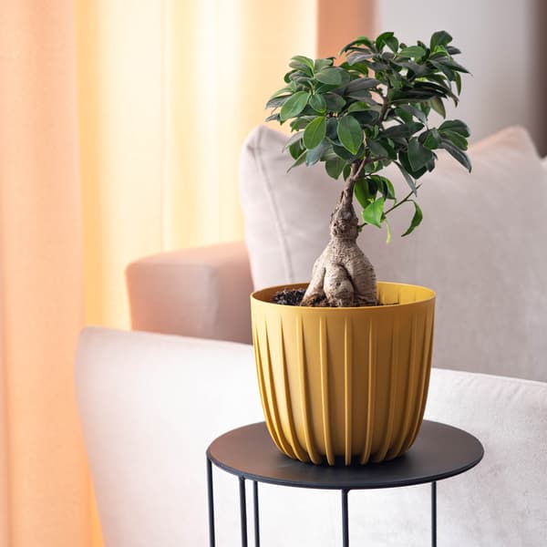 KADAX Urtepotte Urtepottedæksel 16 cm Rund Plastik Blomsterfod Gul
