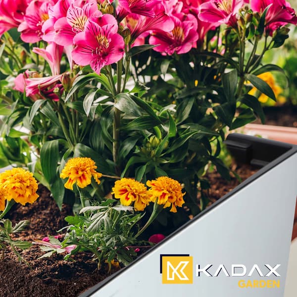 KADAX Urtepotte Balkonkasse med Indsats Blomsterstativ til Balustrade 19x56cm