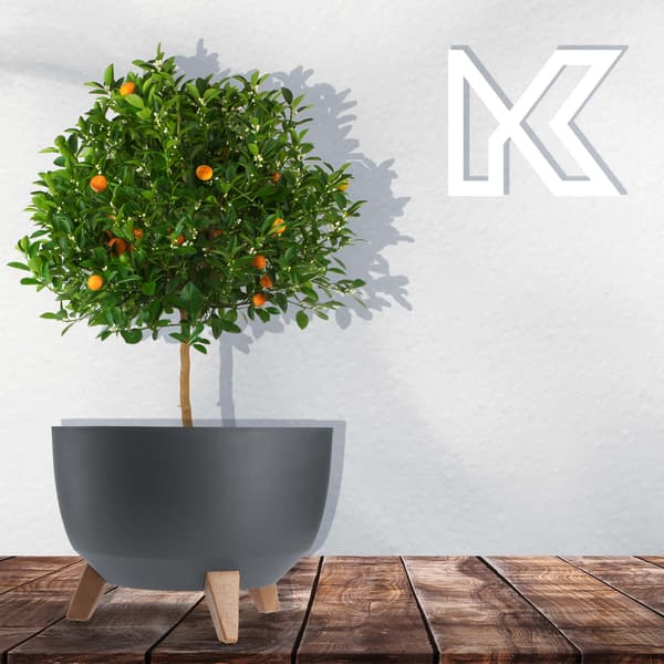 KADAX Blomkruka, Planter, Lock, Ben, Insats, Blomställning, 33cm, Antracit, Rund
