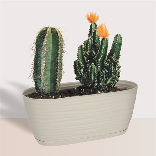 KADAX Urtepotte med Underkop Haveurtepotte 27 cm Blomsterfod Plastik Grå