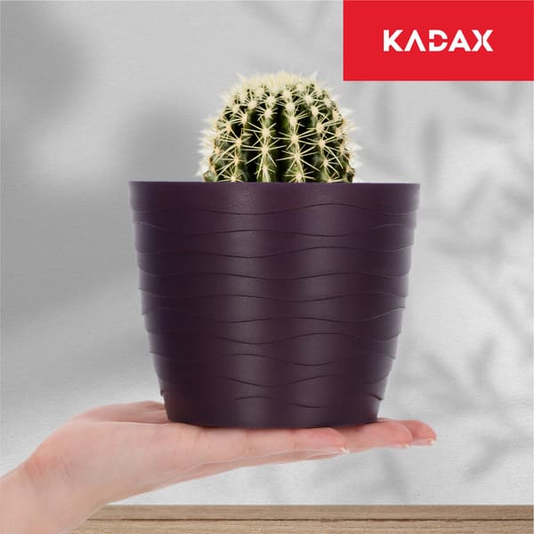KADAX Urtepotte, Blomme Urtepotte, Rund, 13 cm, Plast