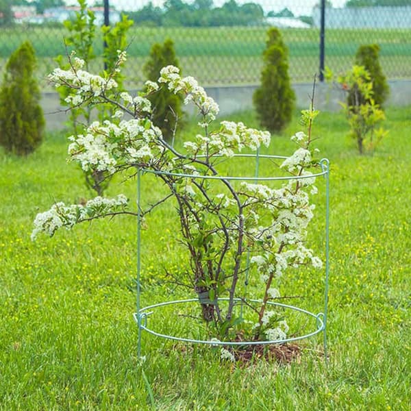 KADAX Blomstöd 60 cm Trädgårdsring Stålstöd 3 st