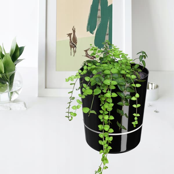 KADAX Todelt Urtepotte med Stativ, Sort, 25 cm