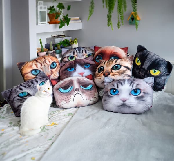 KADAX Pude 30x45 cm Antiallergisk Katteprint Jasiek Gave Til Børn Kat