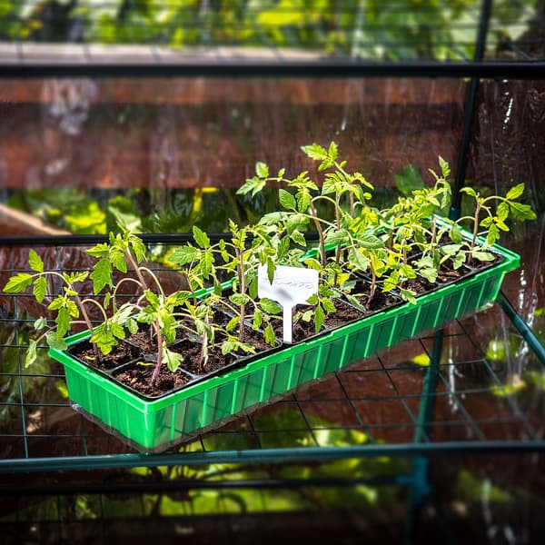 KADAX Mini drivhus Mini drivhus Drivhus 20 kamre Frøplante såbakke