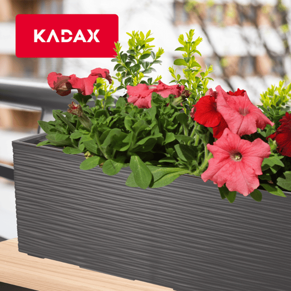 KADAX Urtepotte Balkonkasse med Indsats Blomsterstativ til Balustrade 19x56cm