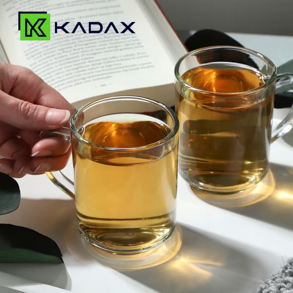 KADAX Kahvalliset tee-, kahvi- ja juomalasit, 2 lasin setti, 240ml