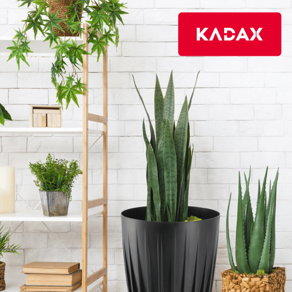 KADAX Urtepotte med Indsats 30x36cm Rund Plastlåg Indsats