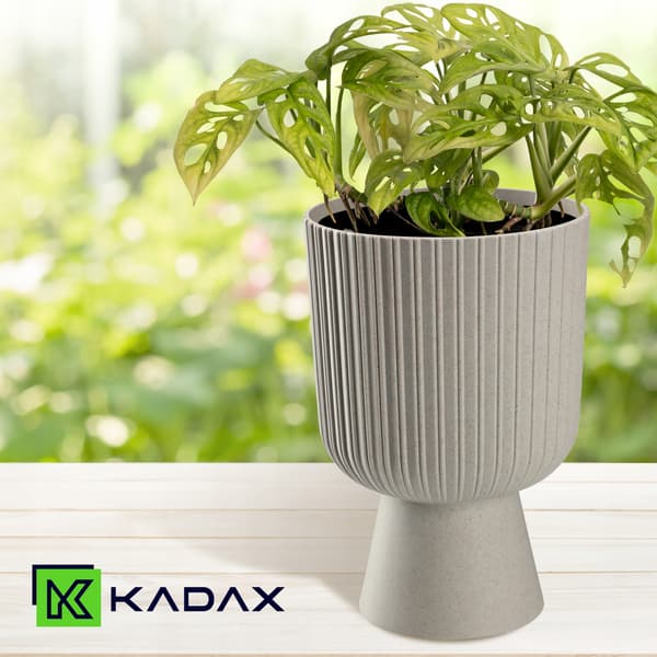 KADAX Urtepotte, Urtepotte, Græsplæne, Plastlåg, 14 cm, Blomsterfod, Grå
