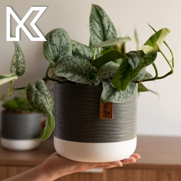 KADAX Keramik Blomsterpotte, Blomsterpotte, Rund, 16 cm, Grå