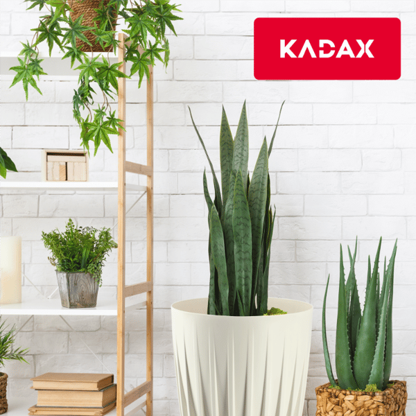 KADAX Urtepotte med Indsats 14,5x17cm Rund Plastindsats