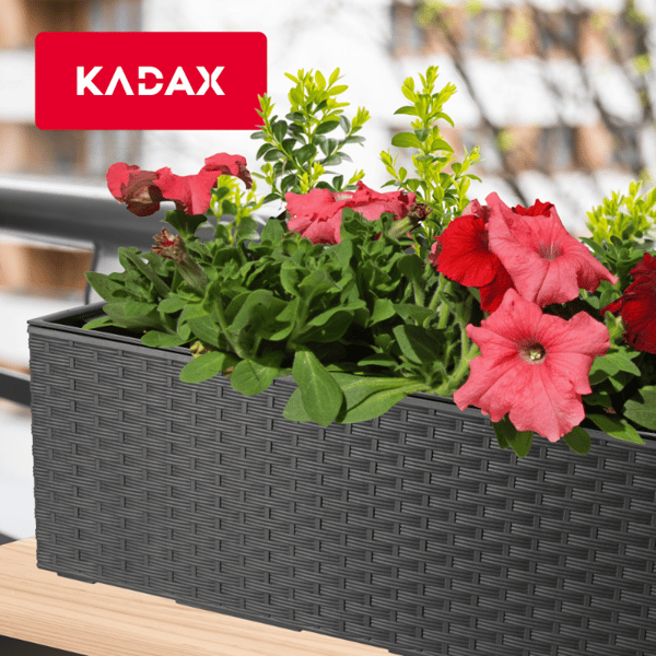 KADAX Urtepotte Balkonkasse med Indsats Blomsterstativ til Balustrade 19x56cm