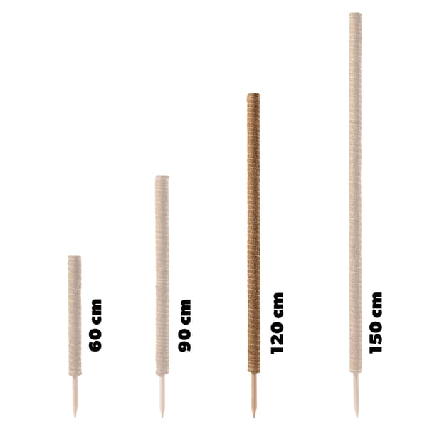 KADAX 3x Blomstöd 120cm Kokospåle 4,5cm Monsterapinne