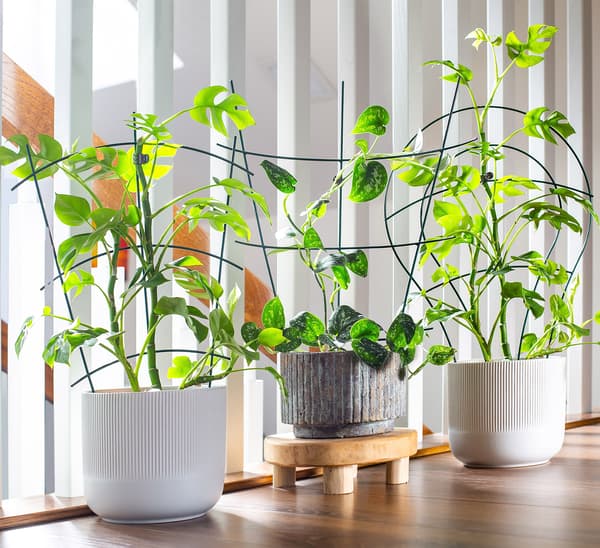 KADAX Stegstöd för klätterväxter, blommor, metallstöd, grönt, 3 st.