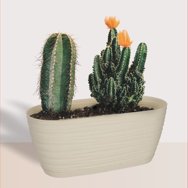 KADAX Urtepotte 27cm Oval Urtepotte Plastik Creme