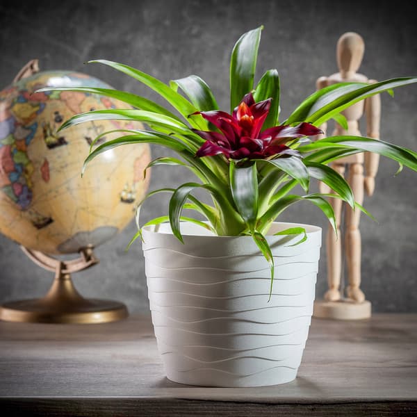 KADAX Urtepotte Plastikpotte til Blomster og Planter Hvid Rund 15 cm