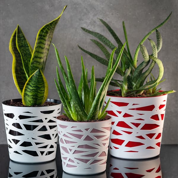 KADAX Urtepotte Plastikindsats til Blomster og Planter 19 cm Beige