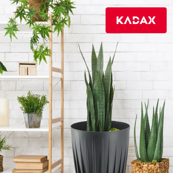 KADAX Urtepotte med Indsats 14,5x17cm Rund Plastindsats
