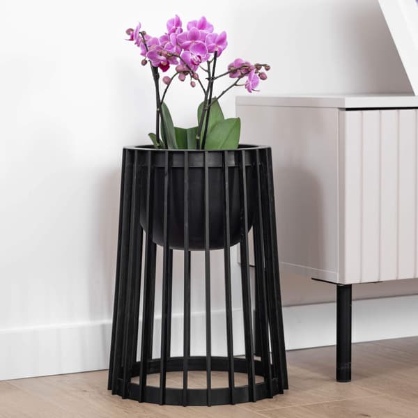 KADAX Loft kaksipuolinen musta kukkateline 39,5 cm + sisus