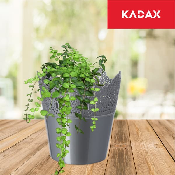KADAX Urtepotte, Urtepotte, Låg, Høj, Plast, 16,5 cm, Grå