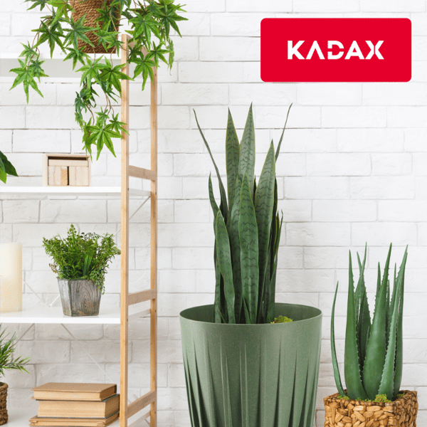 KADAX Urtepotte med Indsats 30x36cm Rund Plastlåg Indsats