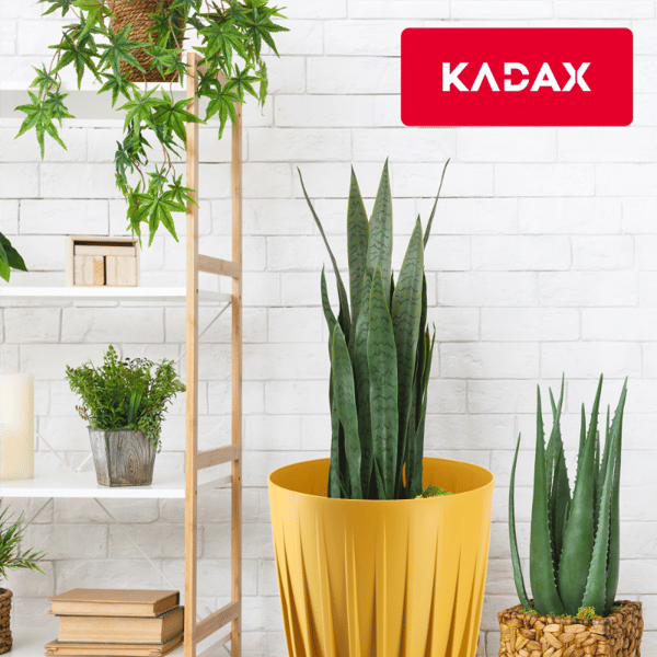 KADAX Urtepotte med Indsats 30x36cm Rund Plastlåg Indsats